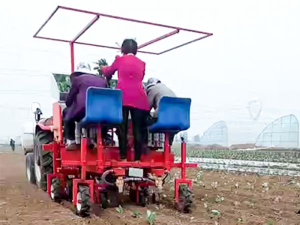 西藍(lán)花移栽機(jī)的特點(diǎn)